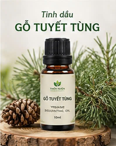 Tinh dầu gỗ tuyết tùng