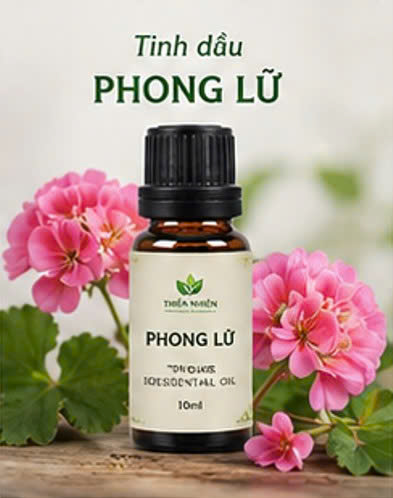 Tinh dầu phong lữ