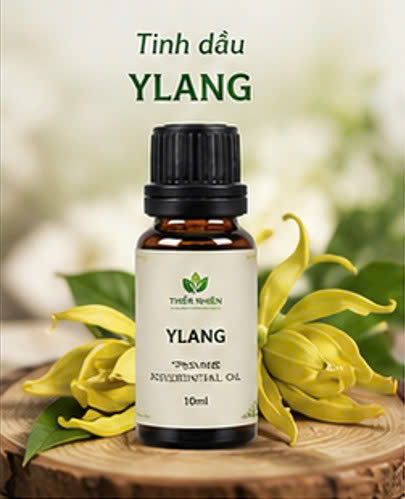 Tinh dầu Ylang Ylang