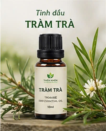 Tinh dầu tràm trà