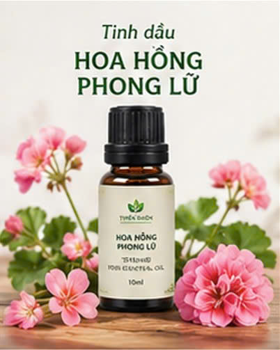 Tinh dầu hoa hồng phong lữ